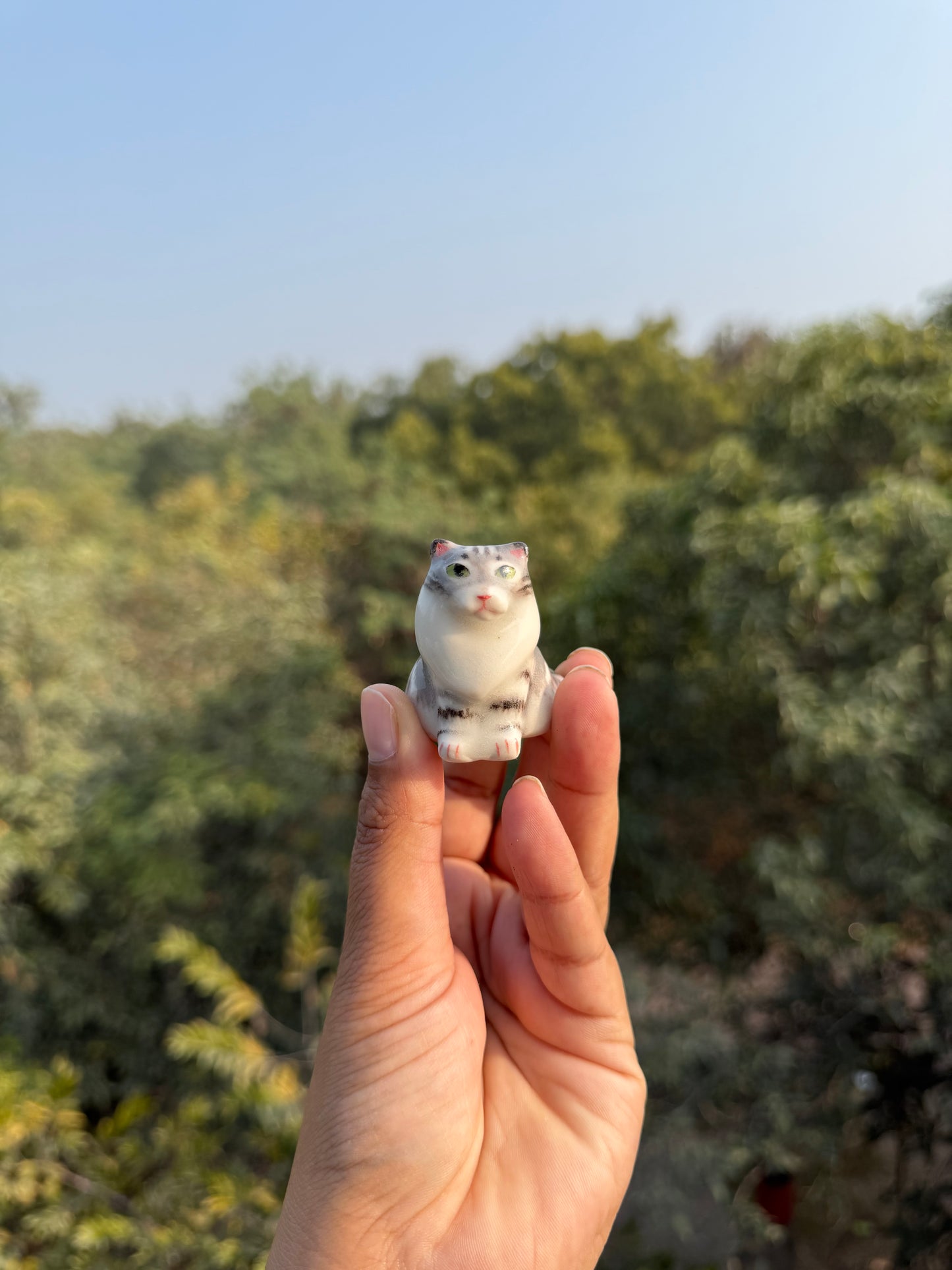cat figure