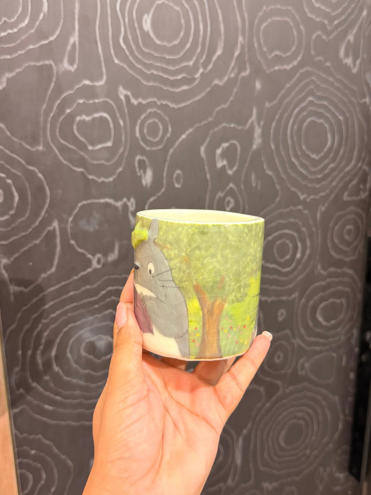 Totoro Tumbler( discounted)