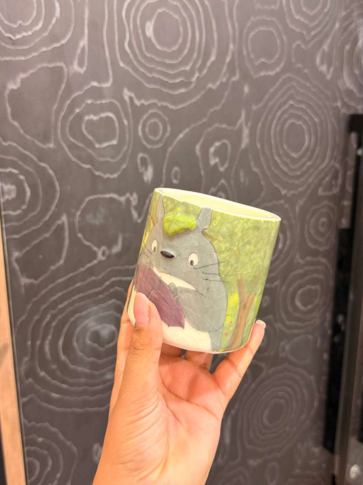 Totoro Tumbler( discounted)