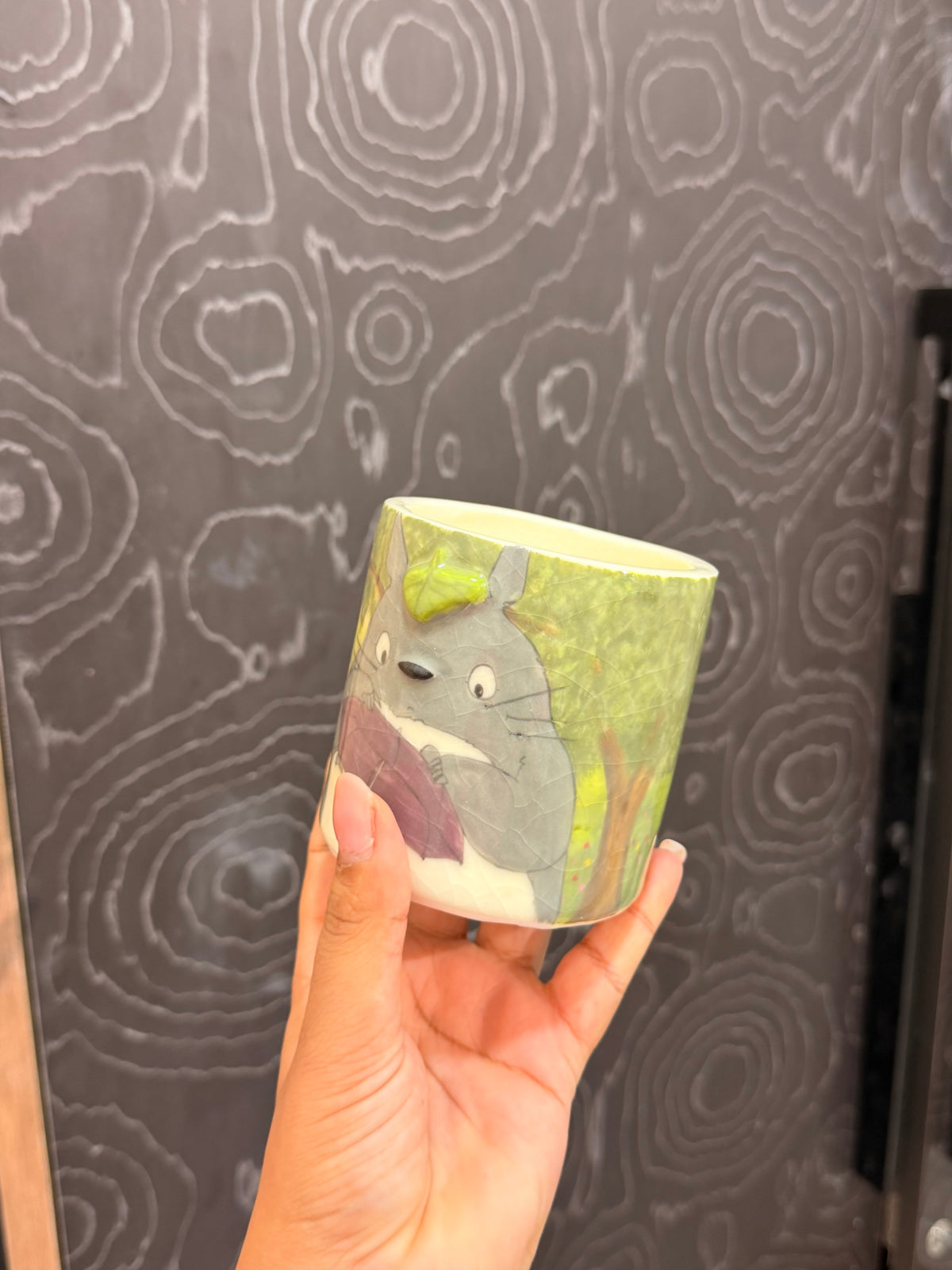 Totoro Tumbler( discounted)