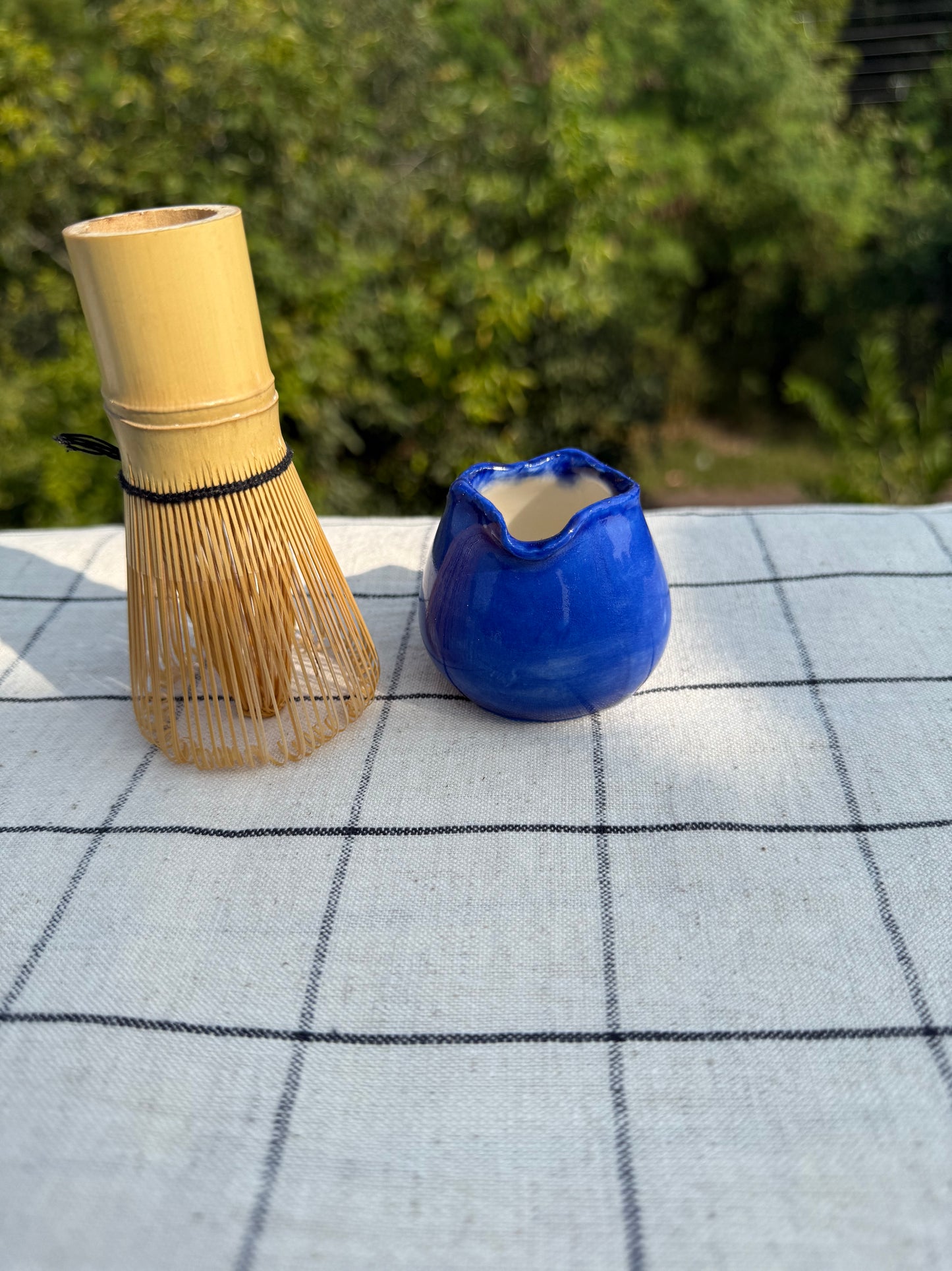Blueberry whisk holder