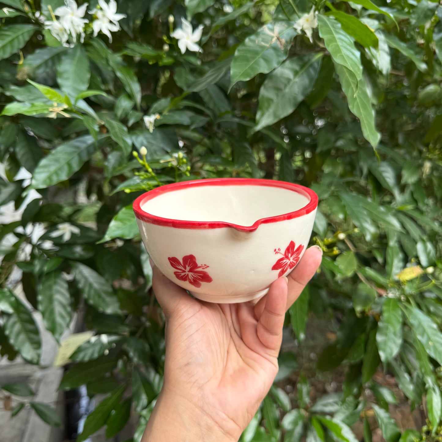 Tropical matcha set(3 pieces)